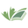 Bright Path Mediation CIC logo